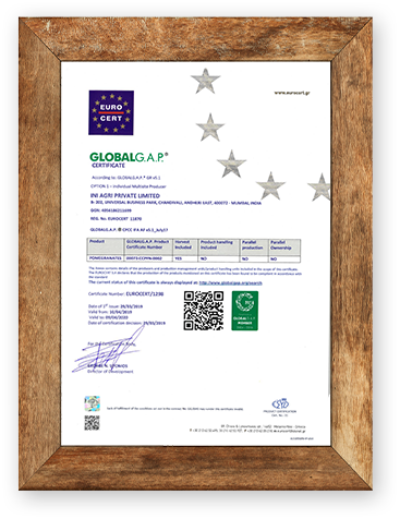 Certificate 1 Image